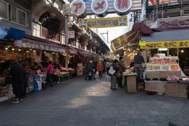 People shopping at an outdoor market with food stalls and signs in Japanese, some vendors selling seafood and other items, under a cloudy sky.