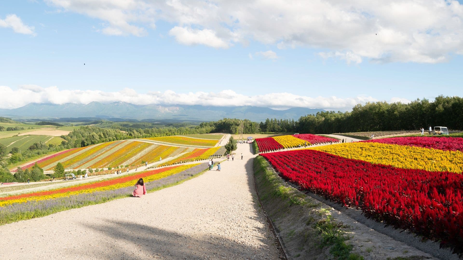 Colorful flower fields with visitors walking along gravel paths under a partly cloudy sky, with green hills and mountains in the background.