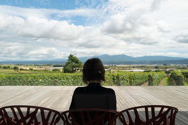 A person sitting on a deck facing a scenic landscape of fields, vineyards, a solitary tree, mountains, and a cloudy sky.