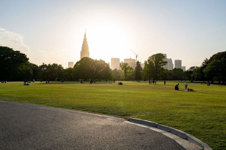 City skyline with tall skyscrapers in the background, as seen from a park with lush green grass and trees, during sunset.
