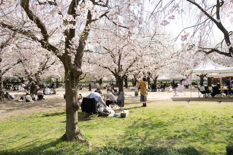 Kiba Park