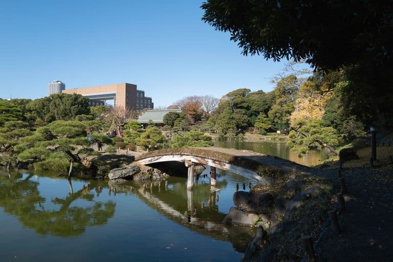 A serene Japanese-style garden with a small wooden bridge over a pond, surrounded by lush green trees and shrubs, with modern buildings in the background under a clear blue sky.