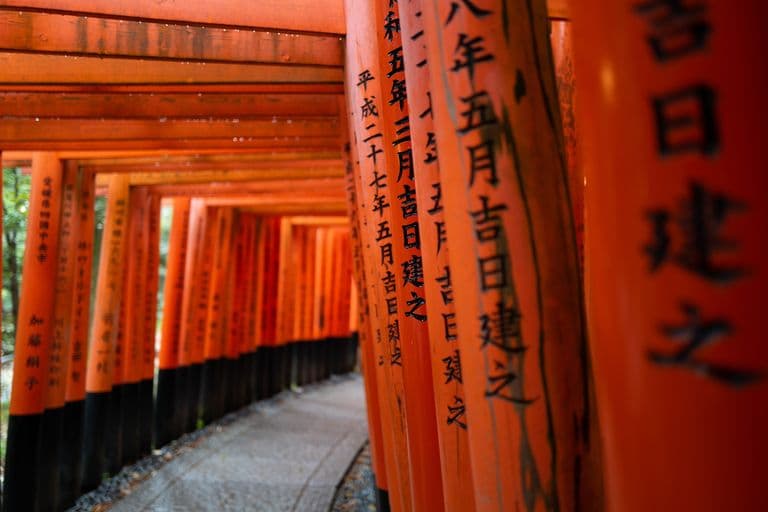 A path surrounded by orange torii gates with black bases, with Japanese inscriptions, creating a tunnel-like corridor.