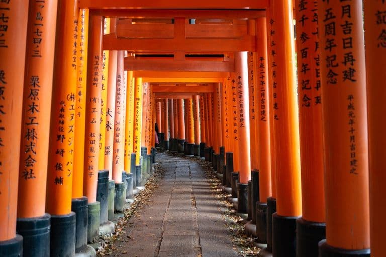 Fushimi Inari torii galleries