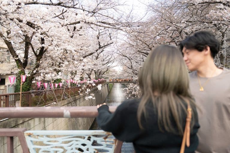 Two women stand on a bridge overlooking a canal lined with cherry blossom trees in full bloom during daytime. Pink lanterns decorate the trees.