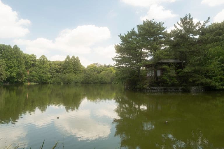 Nerima Shakujii-koen park