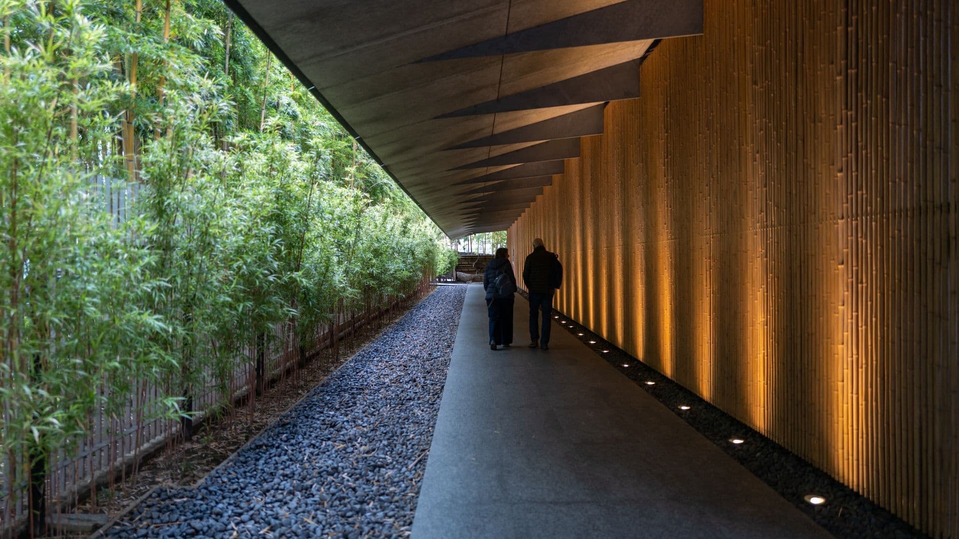 A modern corridor with a wooden wall on the right illuminated with soft lighting, and a lush green bamboo garden on the left, with three people walking along it.