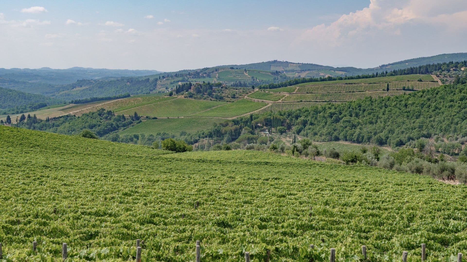 Chianti Wine area, Tuscany, Italy