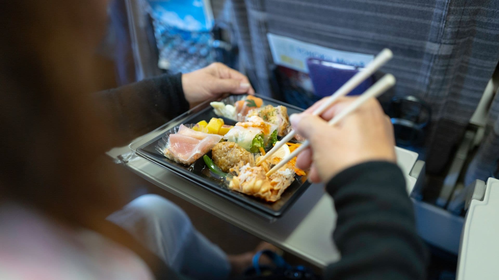 Bento on Shinkansen