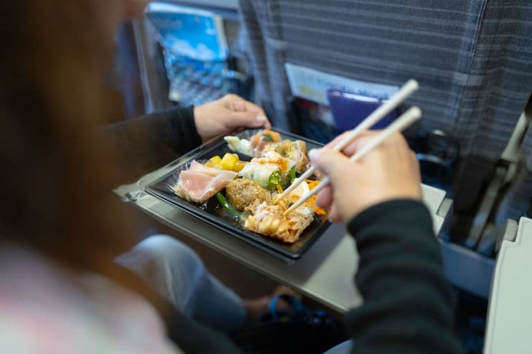 Bento on Shinkansen