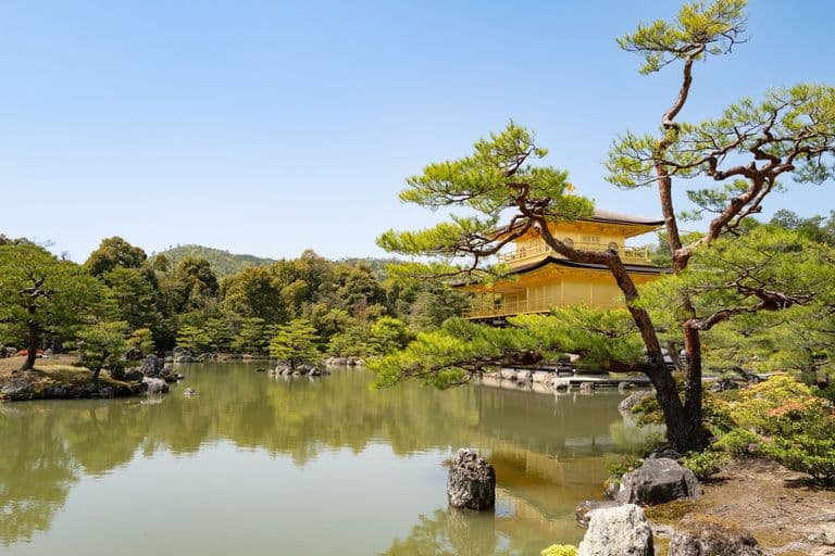 A traditional Japanese garden with a pond, rocks, and trees, including a yellow building in the background under a clear blue sky.