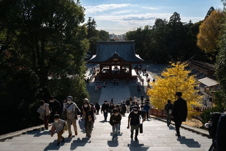 People ascending stone steps towards a traditional Japanese temple with a curved roof, surrounded by trees with green and yellow leaves, under a partly cloudy sky.