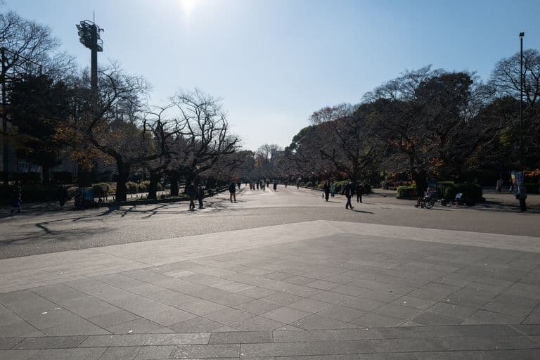 A large open park with paved walkways, bare trees, and people walking or sitting, under a clear sky with the sun shining brightly.