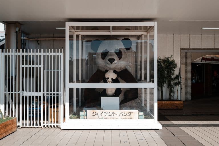 Large panda mascot behind glass display case holding a smaller panda plush toy, with Japanese sign below.