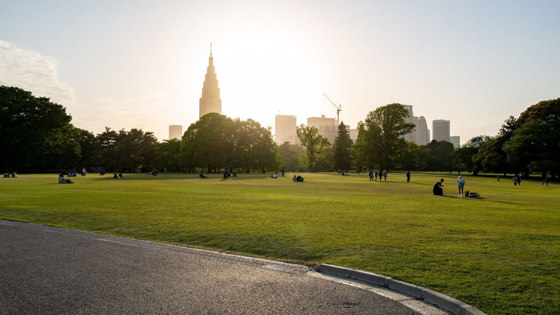 City skyline with tall skyscrapers in the background, as seen from a park with lush green grass and trees, during sunset.