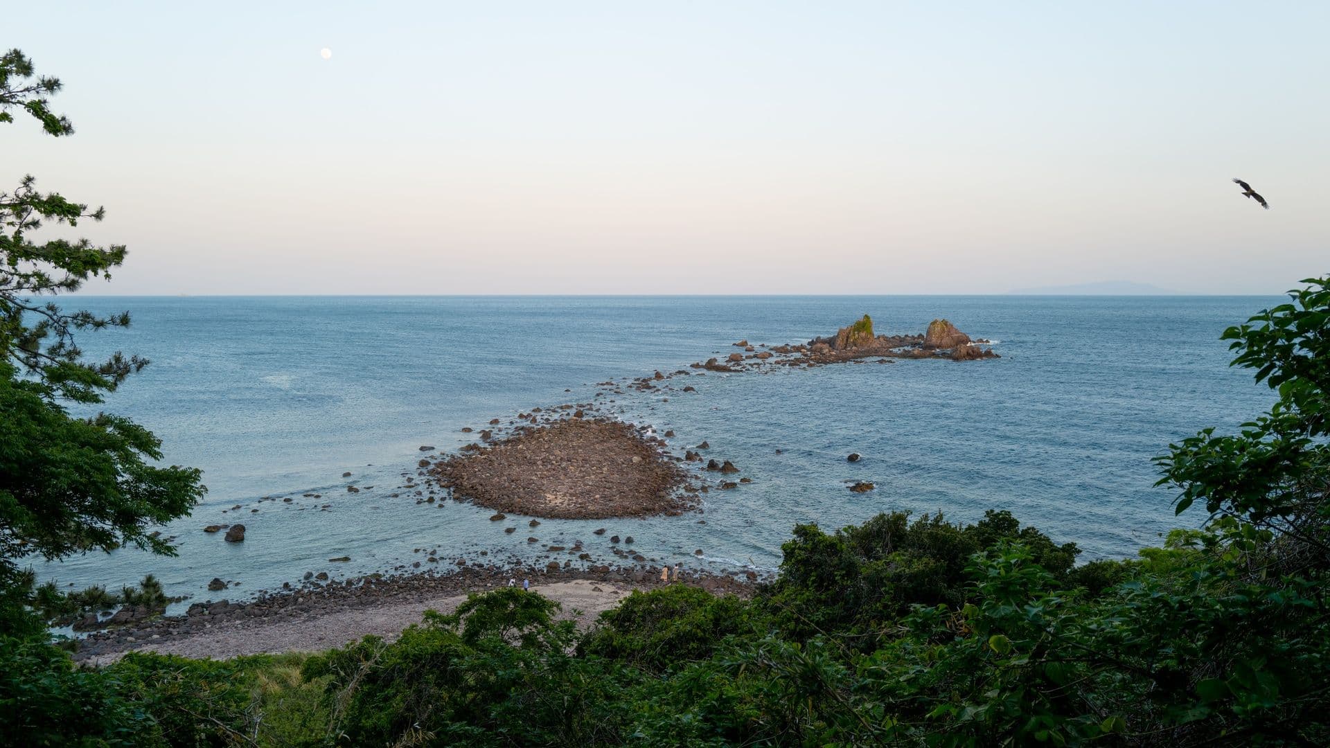 Ocean view with rocky small islands, greenery in the foreground, and a bird flying in the sky near the right side.