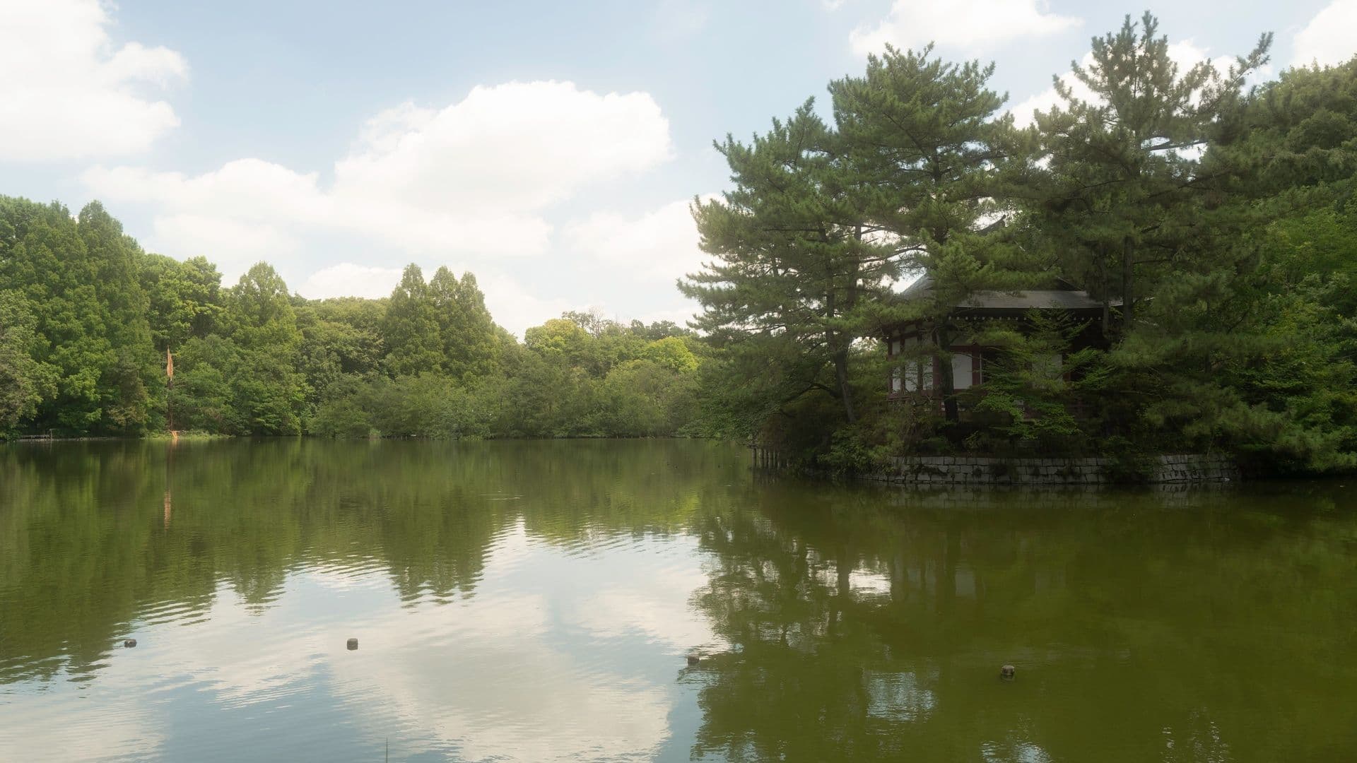 Nerima Shakujii-koen park