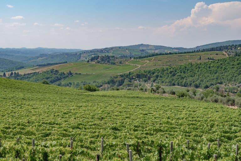 Chianti Wine area, Tuscany, Italy